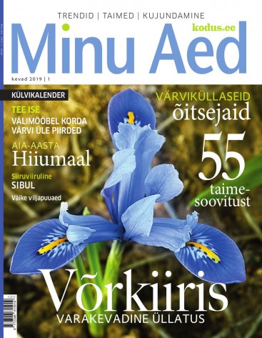 Minu Aed kevad 2019