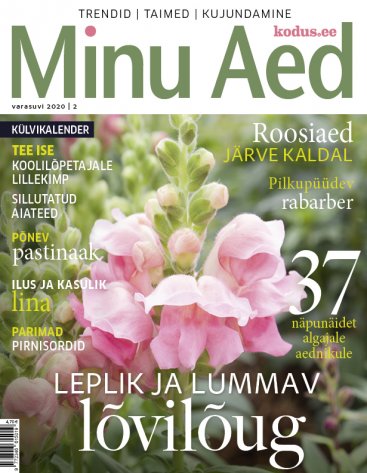 Minu Aed suvi 2020