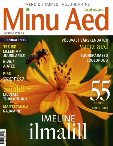 Minu Aed südasuvi 2020