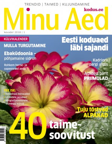 MINU AED KEVAD 2018