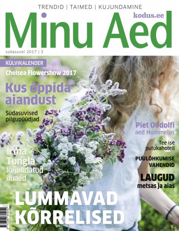 Minu Aed südasuvi 2017