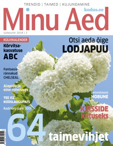 MINU AED SÜDASUVI 2018