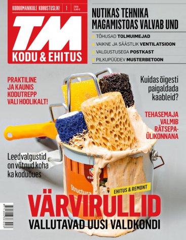 TM Kodu & Ehitus jaanuar 2016