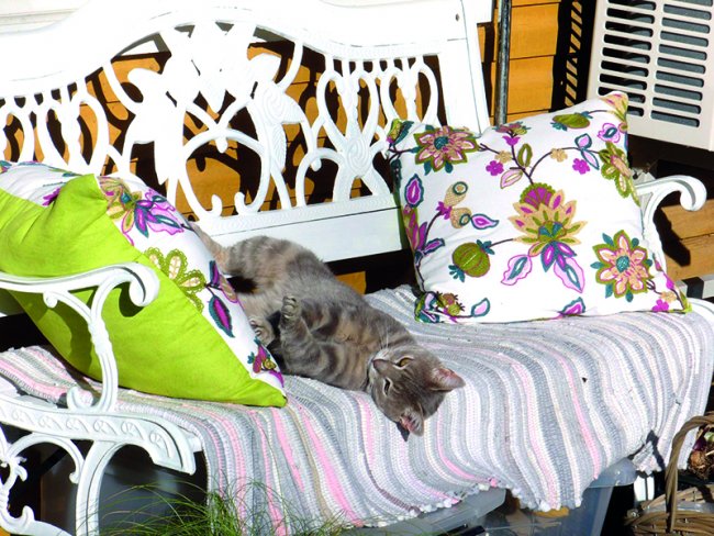 Ülle ja Heino taimerohke vana taluõu home-garden