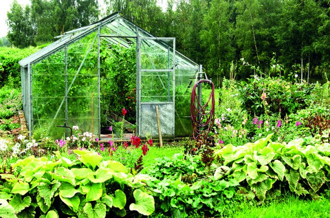 Ülle ja Heino taimerohke vana taluõu home-garden